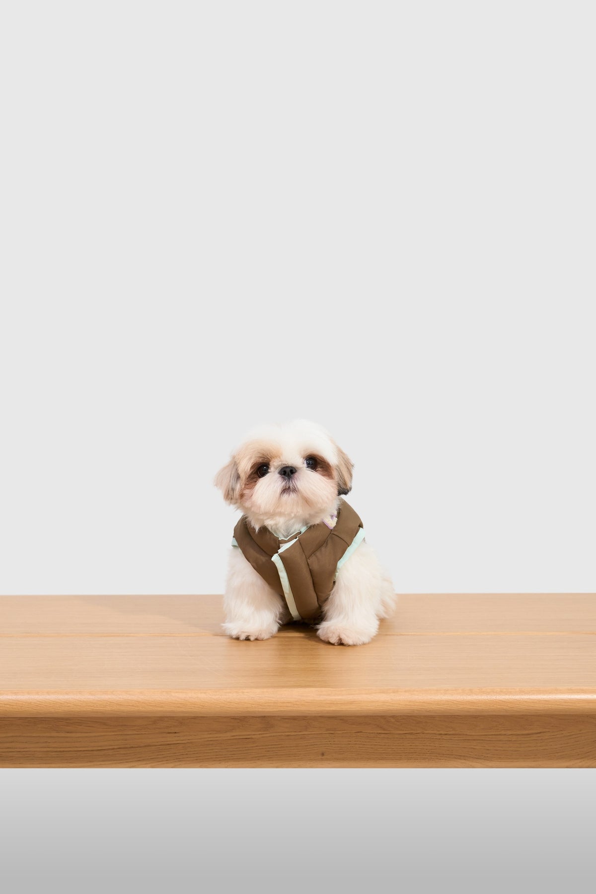 Cloud Toast Padded Coat