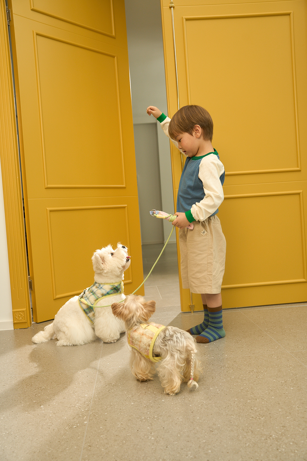 Felt Toast Pet Harness