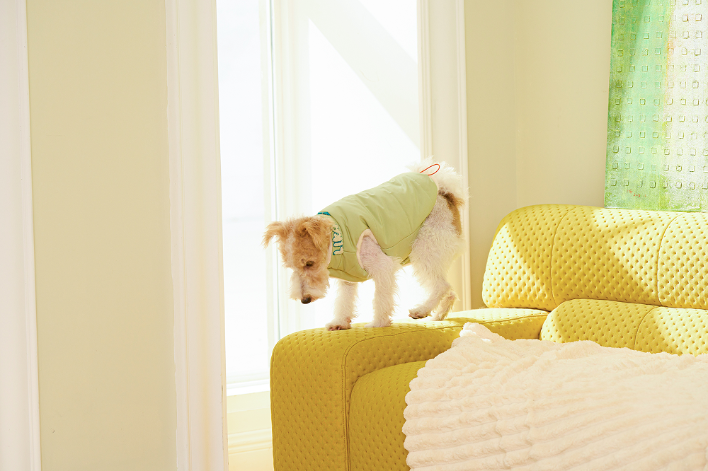 Fresh Toast Reversible Padded Jacket