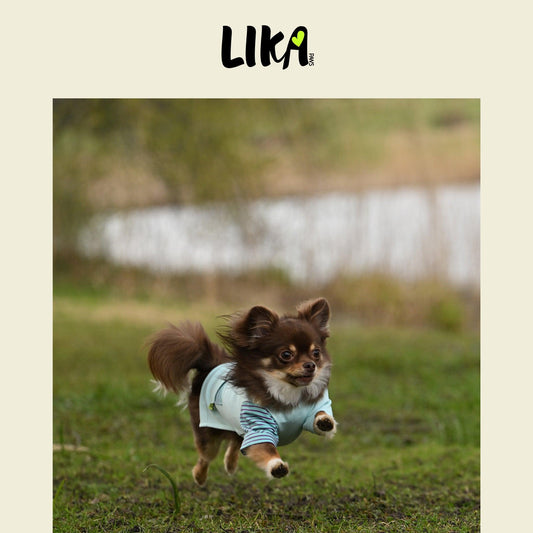 Fun With Color T-shirt - Galaxy Blue - Shirt - LIKAPAWS