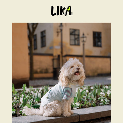 Fun With Color T-shirt - Galaxy Blue - Shirt - LIKAPAWS