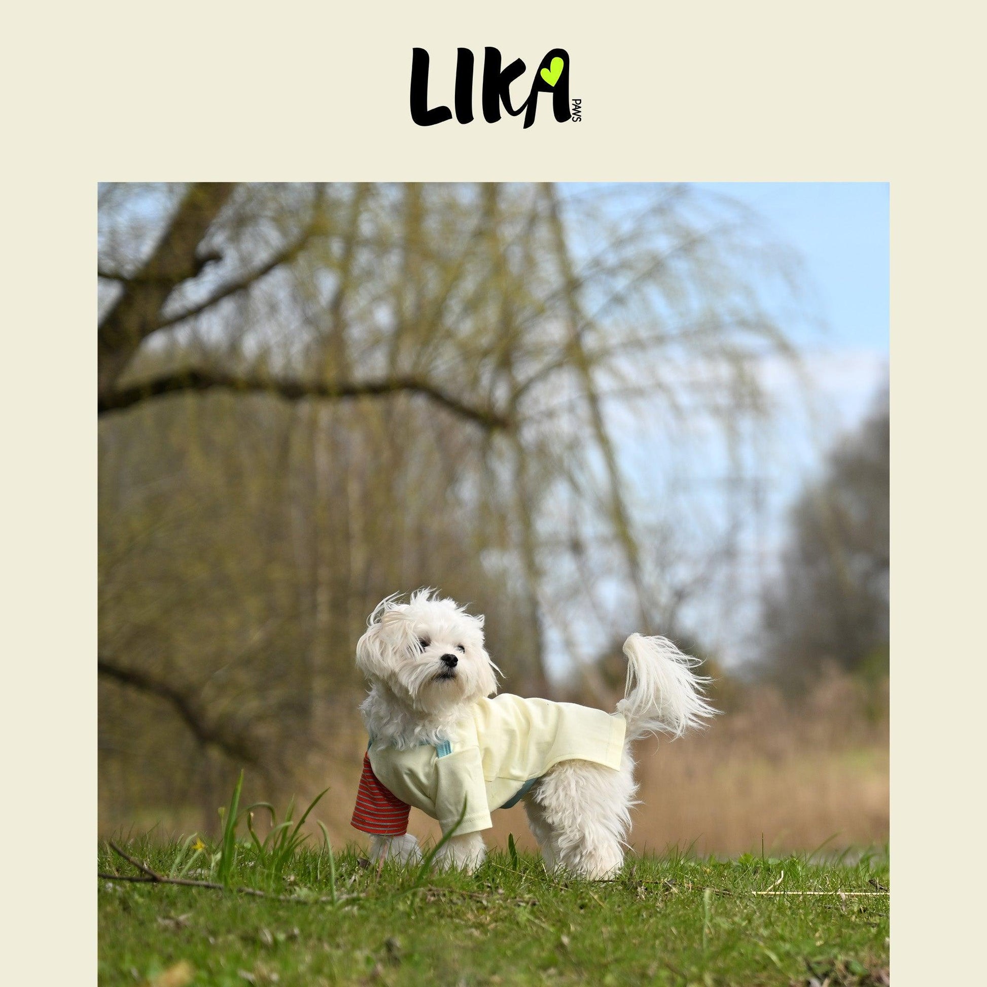 Fun With Color T-shirt - Sunrise Red - Shirt - LIKAPAWS