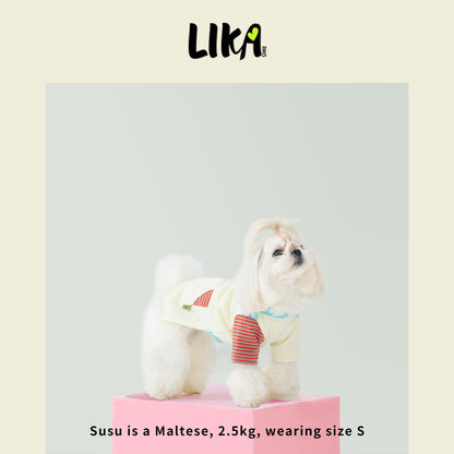 Fun With Color T-shirt - Sunrise Red - Shirt - LIKAPAWS