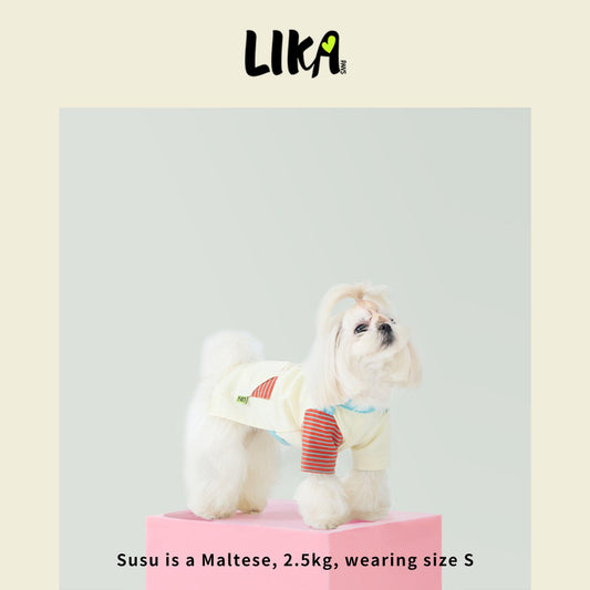 Fun With Color T-shirt - Sunrise Red - Shirt - LIKAPAWS