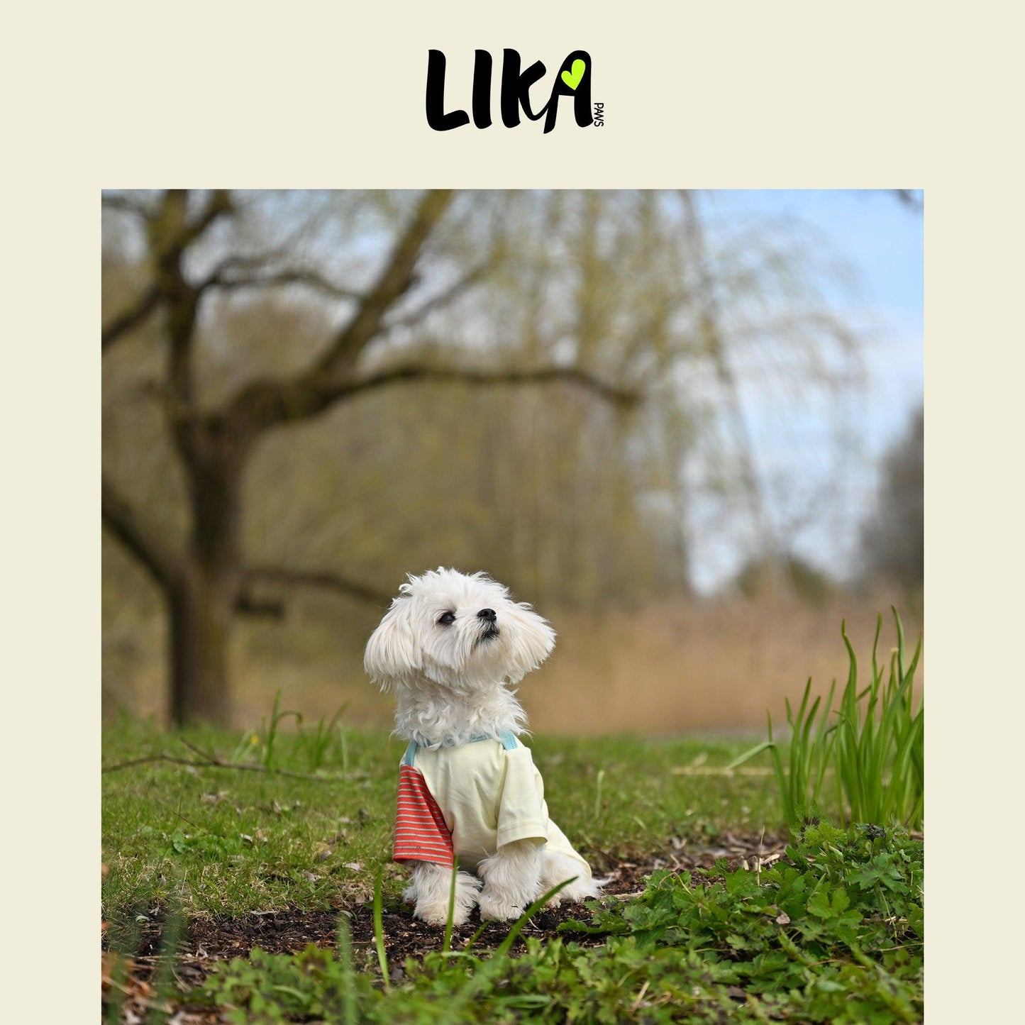 Fun With Color T-shirt - Sunrise Red - Shirt - LIKAPAWS