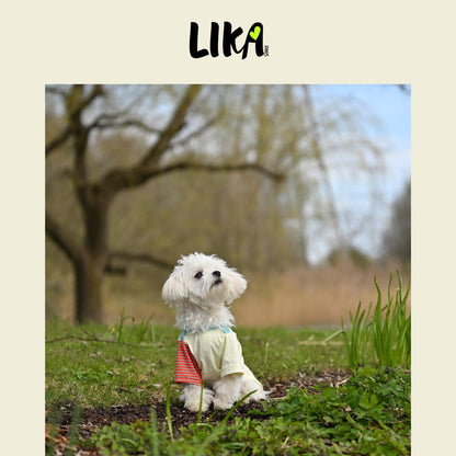 Fun With Color T-shirt - Sunrise Red - Shirt - LIKAPAWS