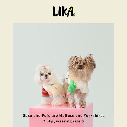 Fun With Color T-shirt - Verdant Orange - Shirt - LIKAPAWS