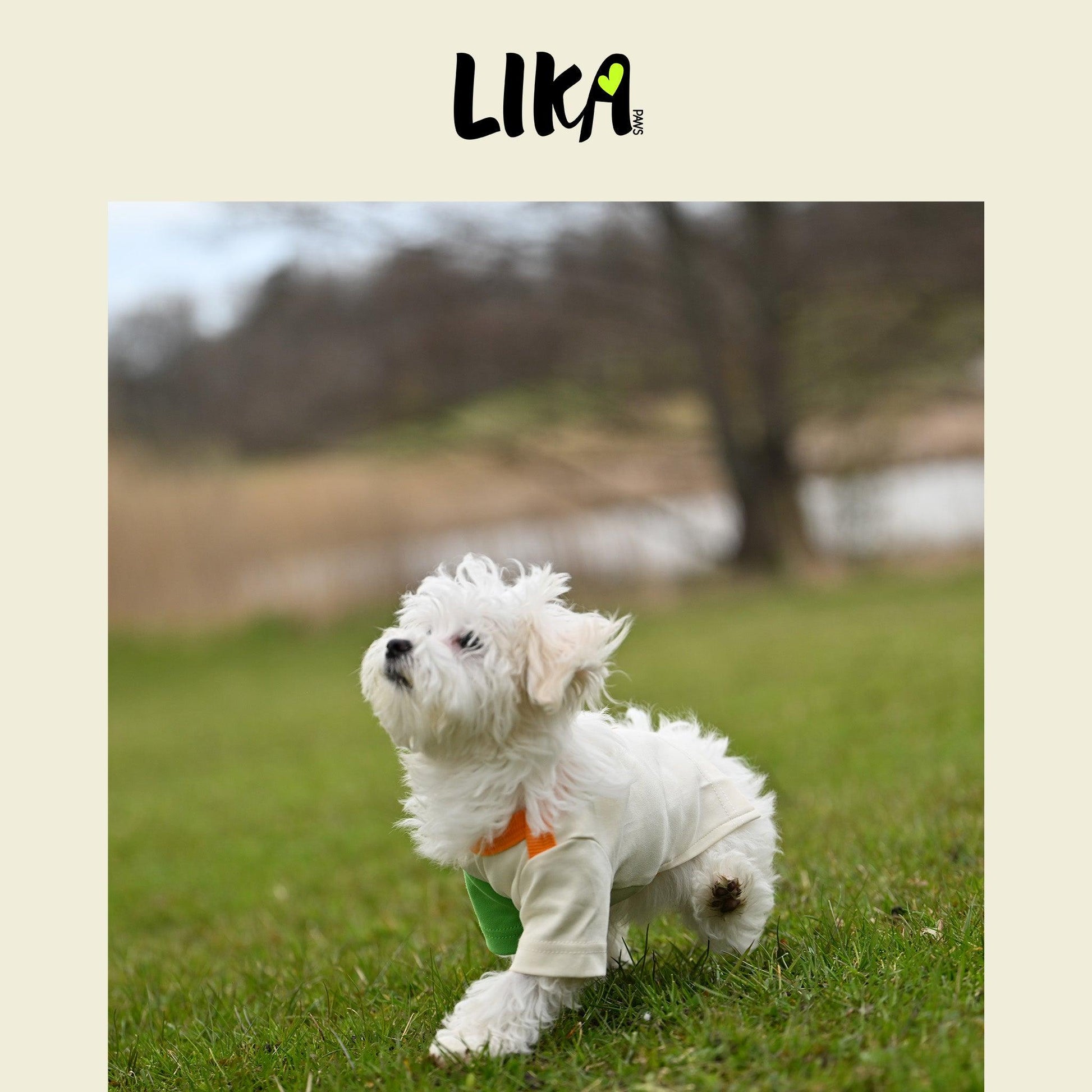 Fun With Color T-shirt - Verdant Orange - Shirt - LIKAPAWS