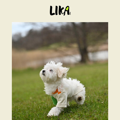 Fun With Color T-shirt - Verdant Orange - Shirt - LIKAPAWS