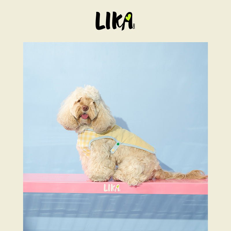 Hooded Summer Shirt Yellow - Summer Shirt - LIKAPAWS