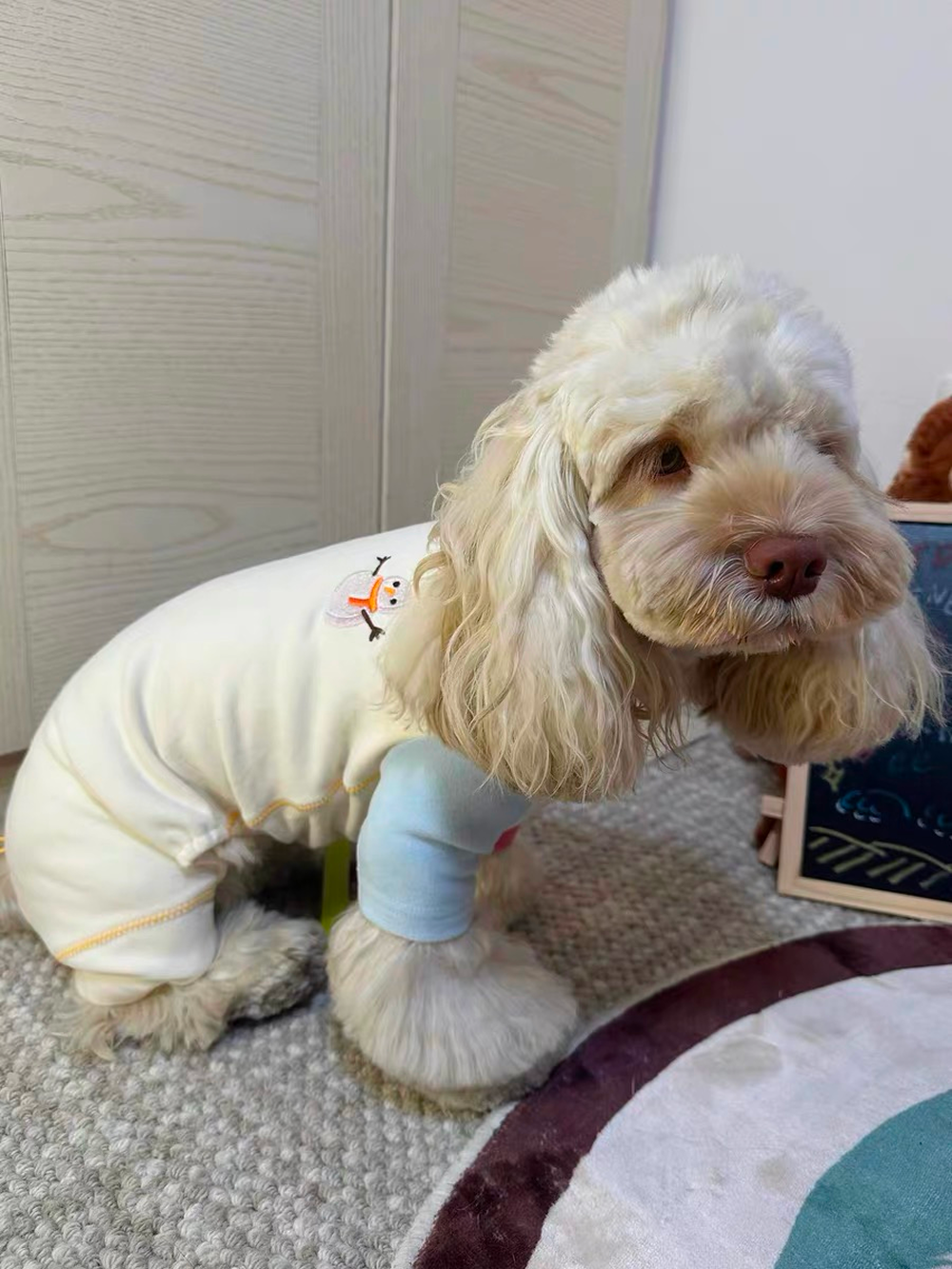Hot Milk Duo Pet Onesie