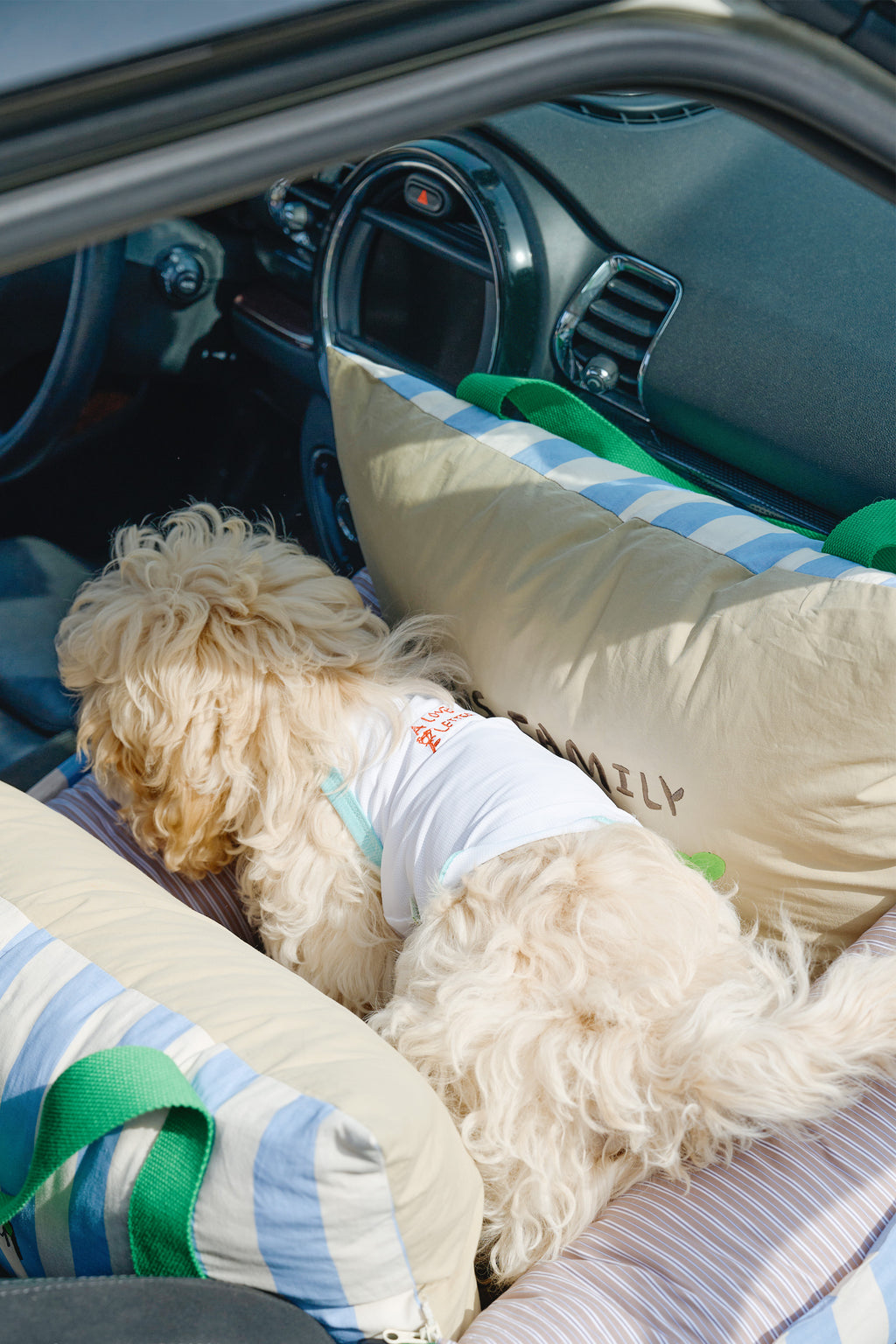 Island Trip Pet Car Safety Seat
