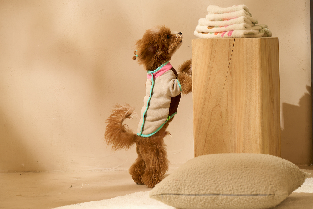 Marshmallow Cocoa Fleece Jacket