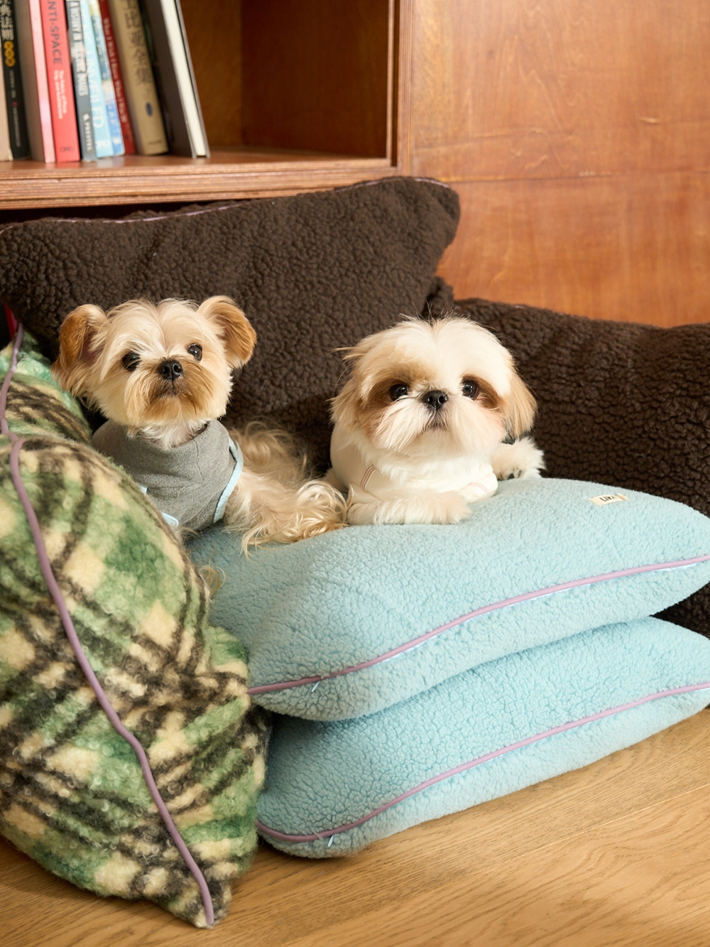 Mint Nama Chocolate Pet Sofa