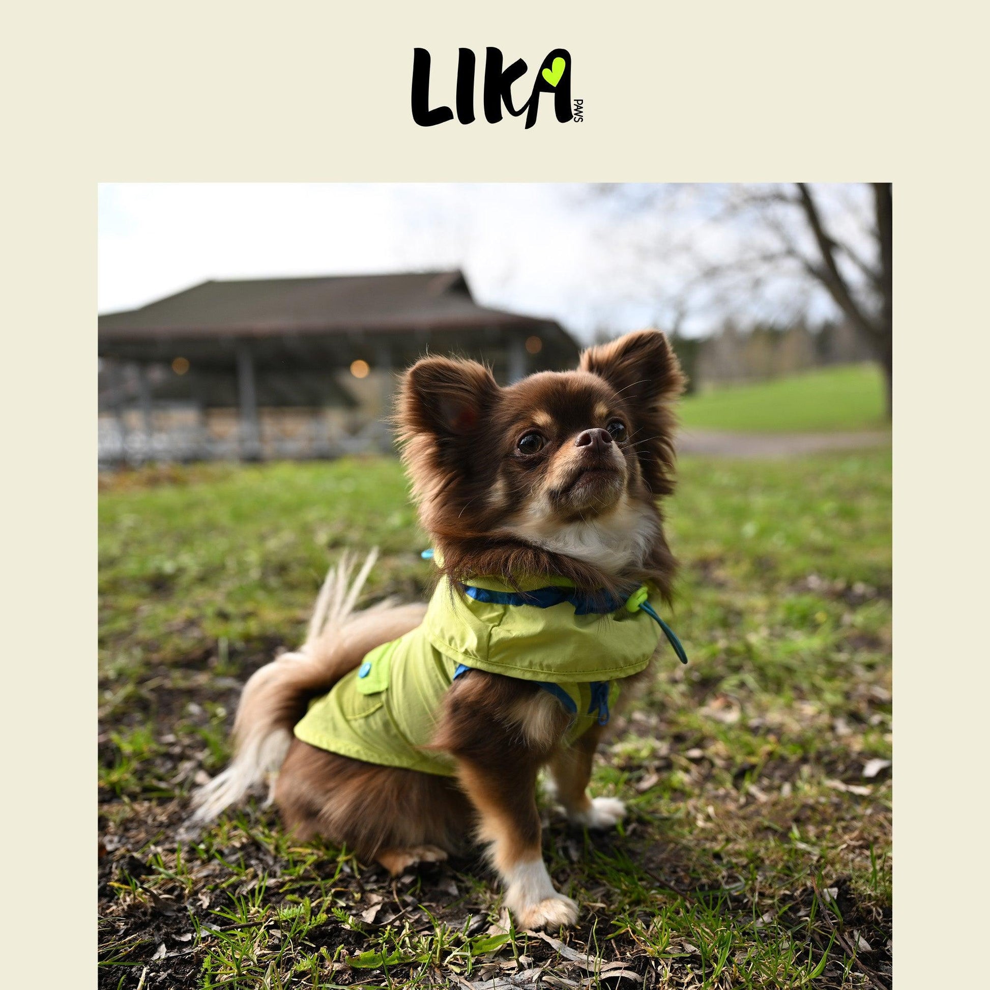 Multi - functional Jacket - Meadow Green - Raincoat - LIKAPAWS