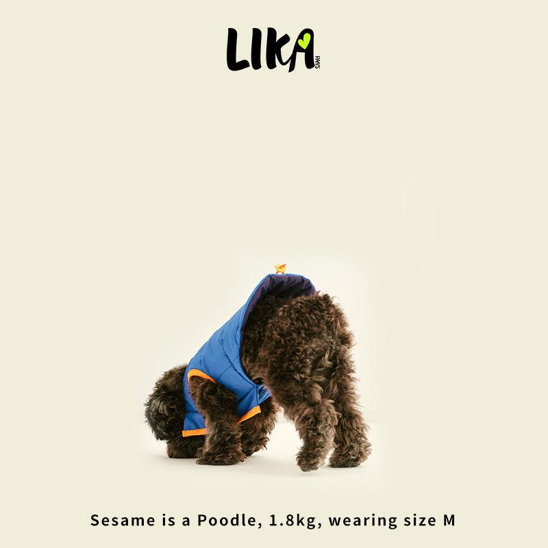 Reversible Padded Jacket - Azure Blue - Winter Jackets - LIKAPAWS