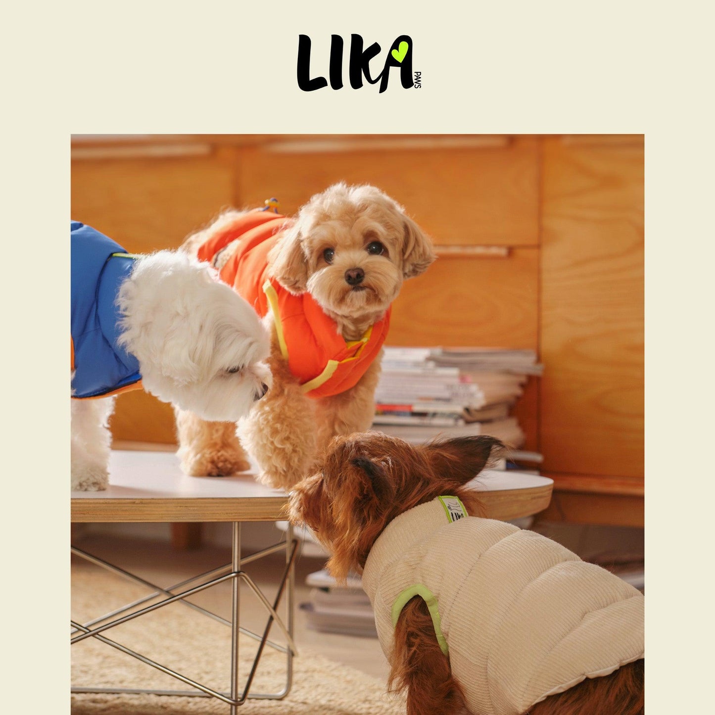 Reversible Padded Jacket - Marmalade - Winter Jackets - LIKAPAWS