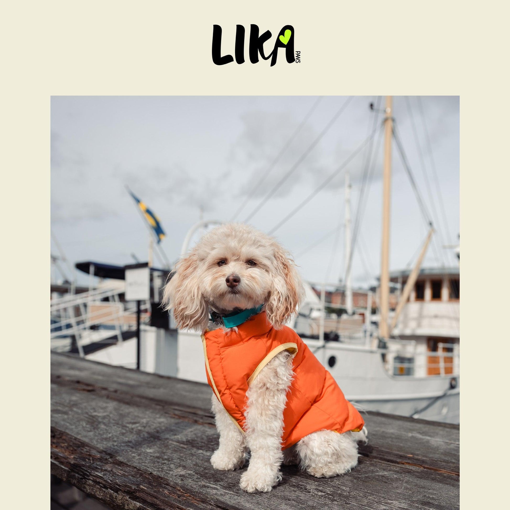 Reversible Padded Jacket - Marmalade - Winter Jackets - LIKAPAWS