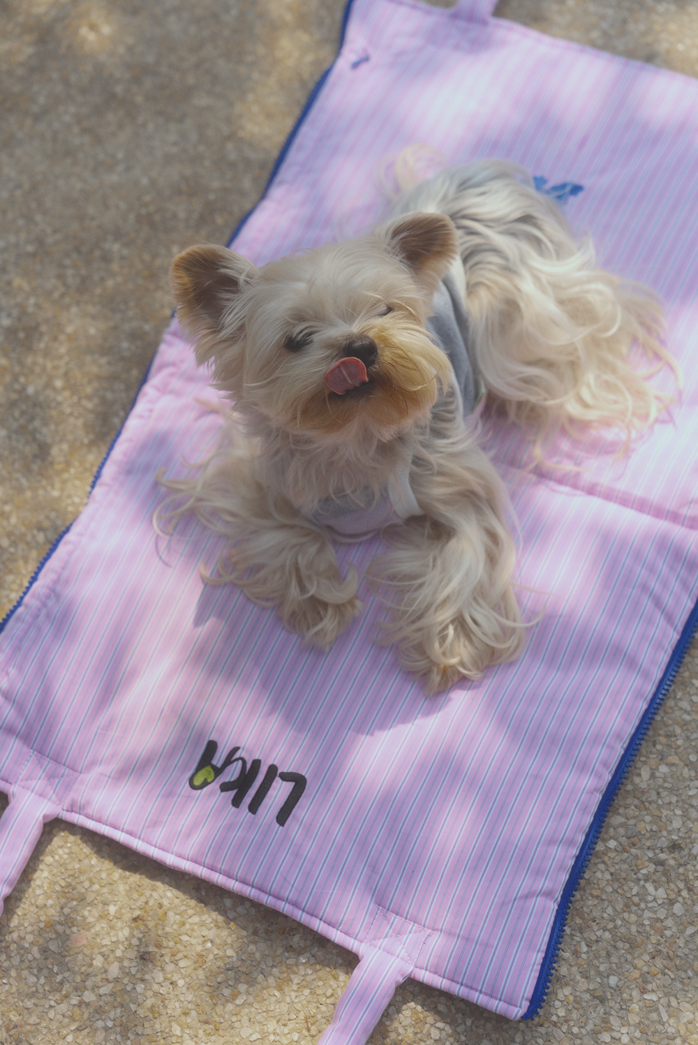Slushy Chill Mat with Ice Bag
