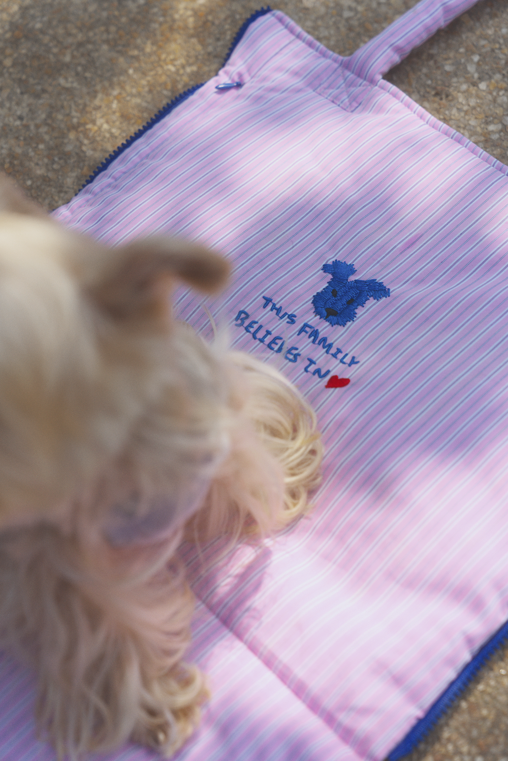 Slushy Chill Mat with Ice Bag