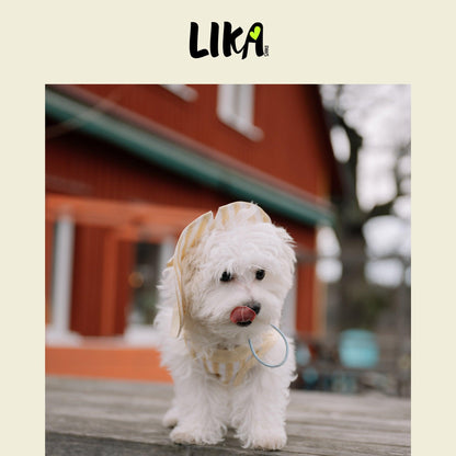 Summer Vacation Shirt & Hat - Dawn Yellow - Shirt - LIKAPAWS