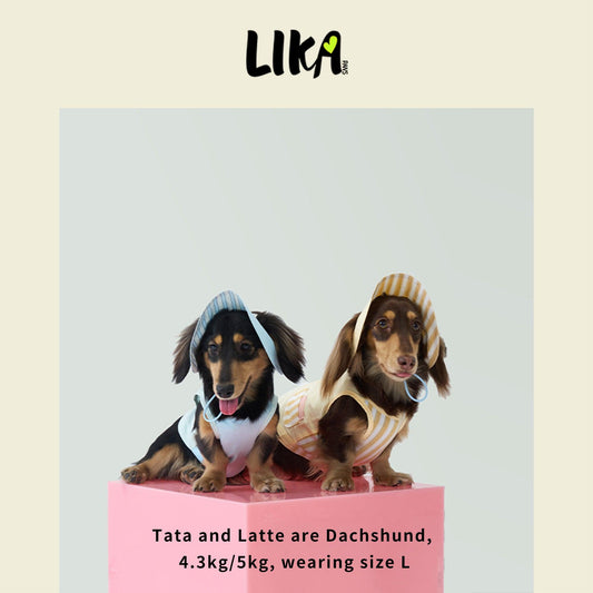 Summer Vacation Shirt & Hat - Dawn Yellow - Shirt - LIKAPAWS