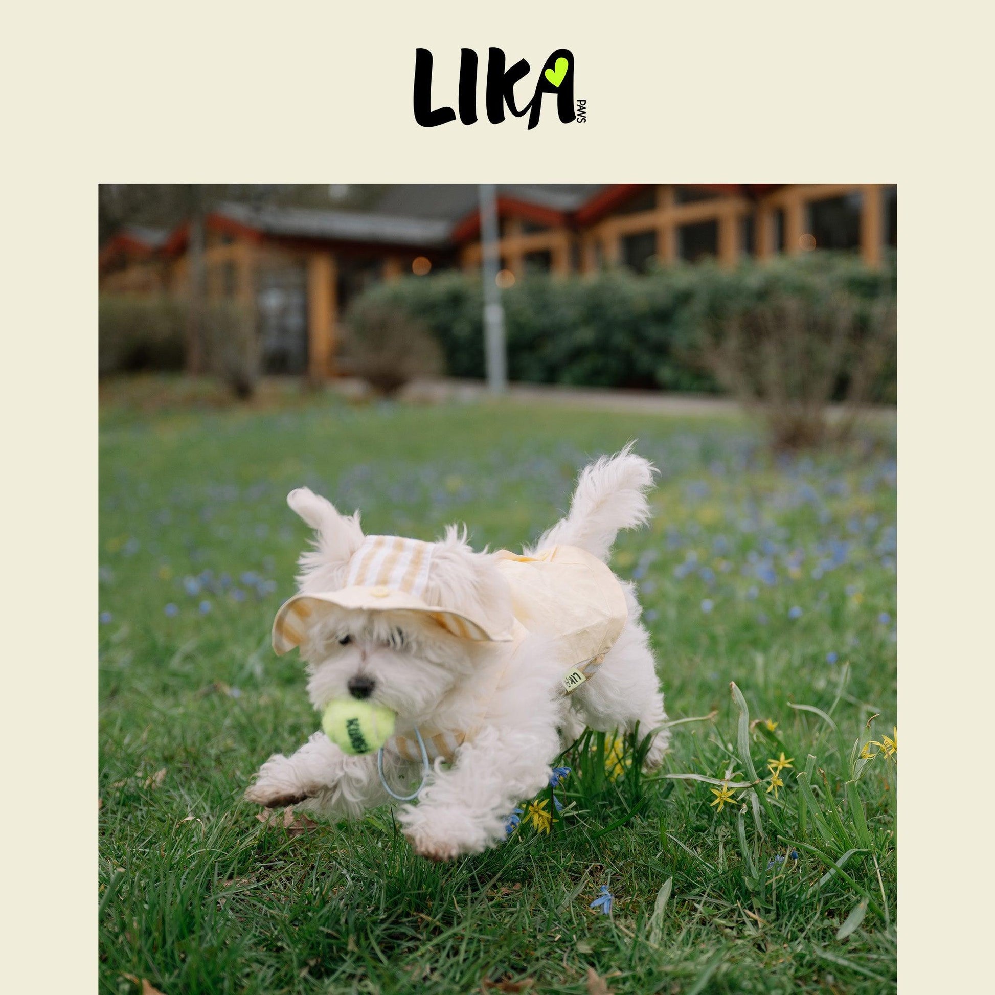 Summer Vacation Shirt & Hat - Dawn Yellow - Shirt - LIKAPAWS