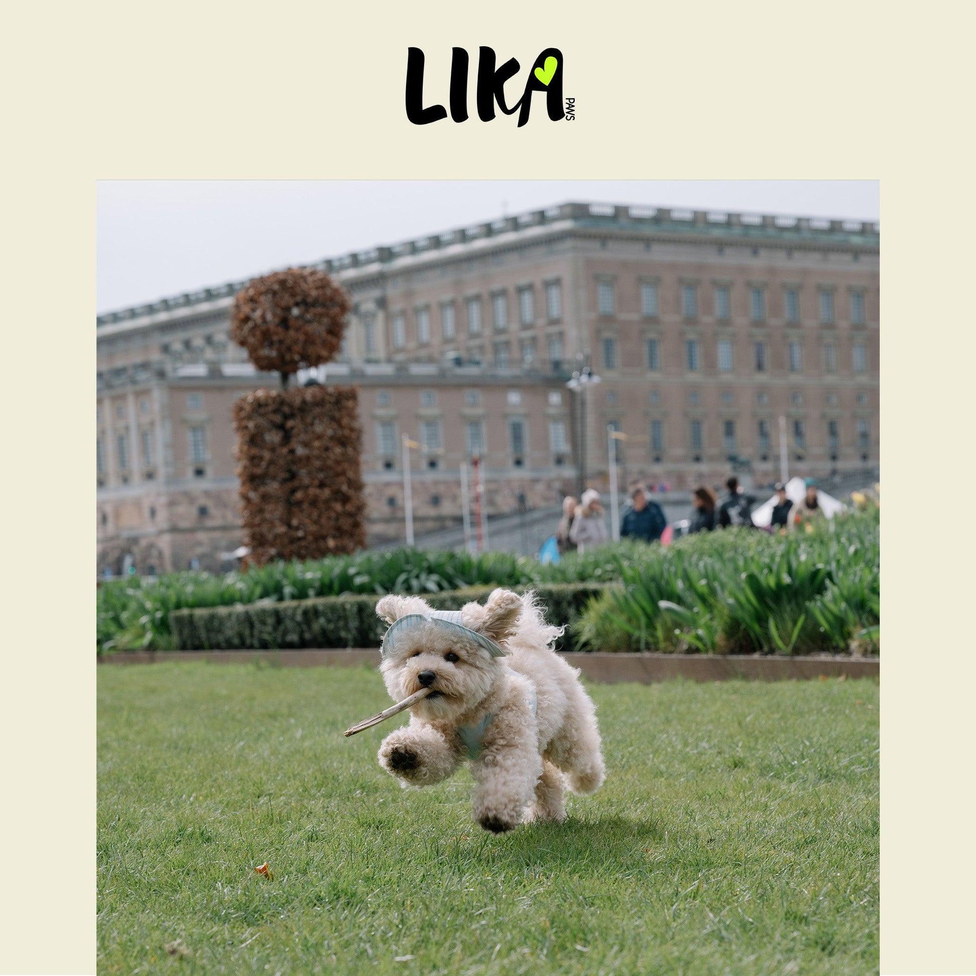 Summer Vacation Shirt & Hat - Ripple Blue - Shirt - LIKAPAWS