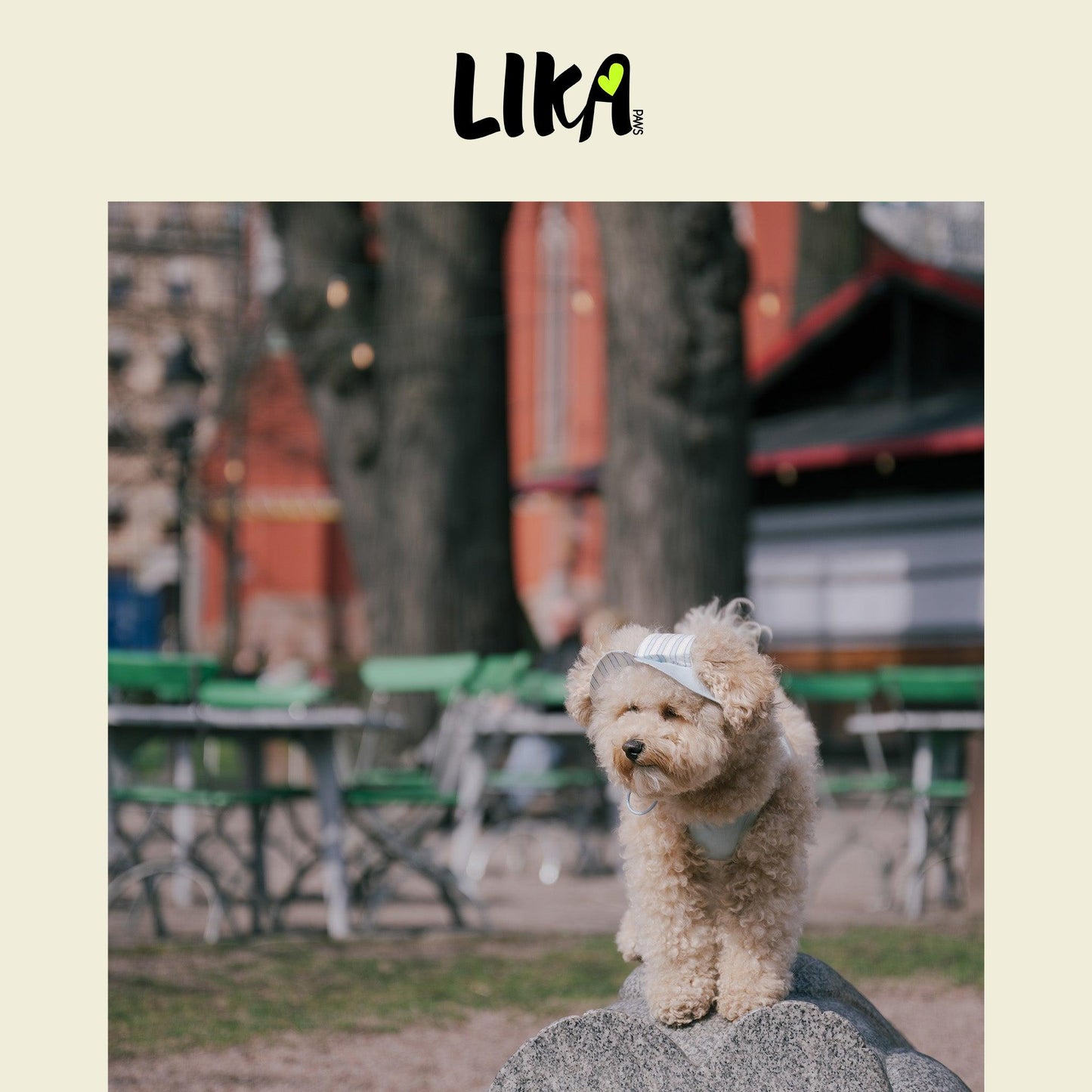 Summer Vacation Shirt & Hat - Ripple Blue - Shirt - LIKAPAWS