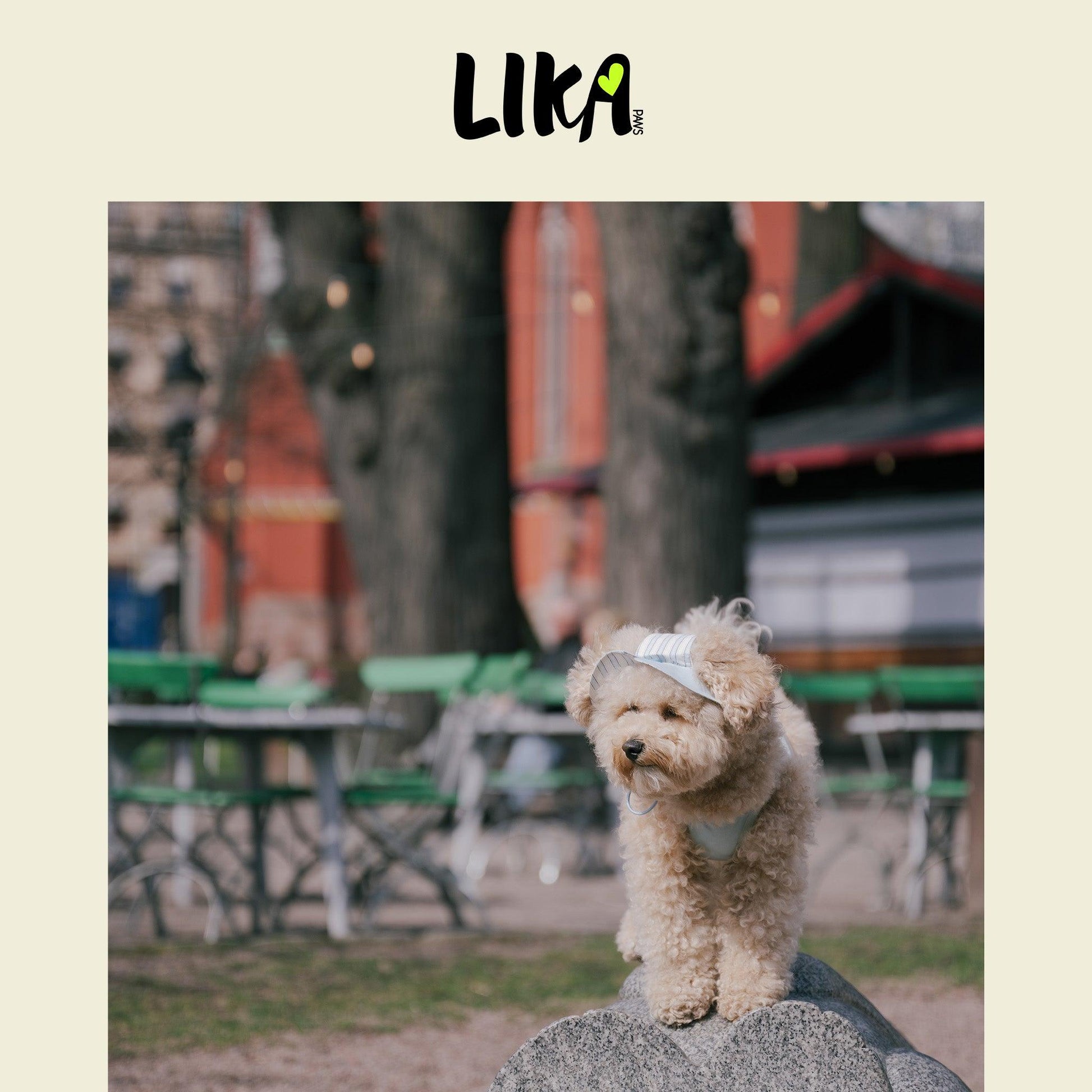 Summer Vacation Shirt & Hat - Ripple Blue - Shirt - LIKAPAWS