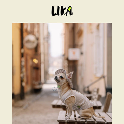 Summer Vacation Shirt & Hat - Twilight Gray - Shirt - LIKAPAWS