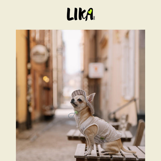 Summer Vacation Shirt & Hat - Twilight Gray - Shirt - LIKAPAWS