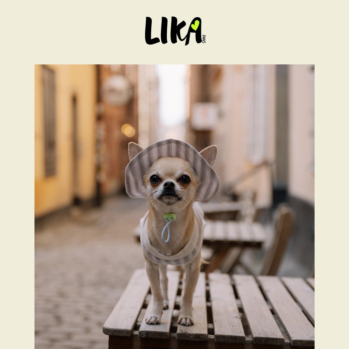 Summer Vacation Shirt & Hat - Twilight Gray - Shirt - LIKAPAWS