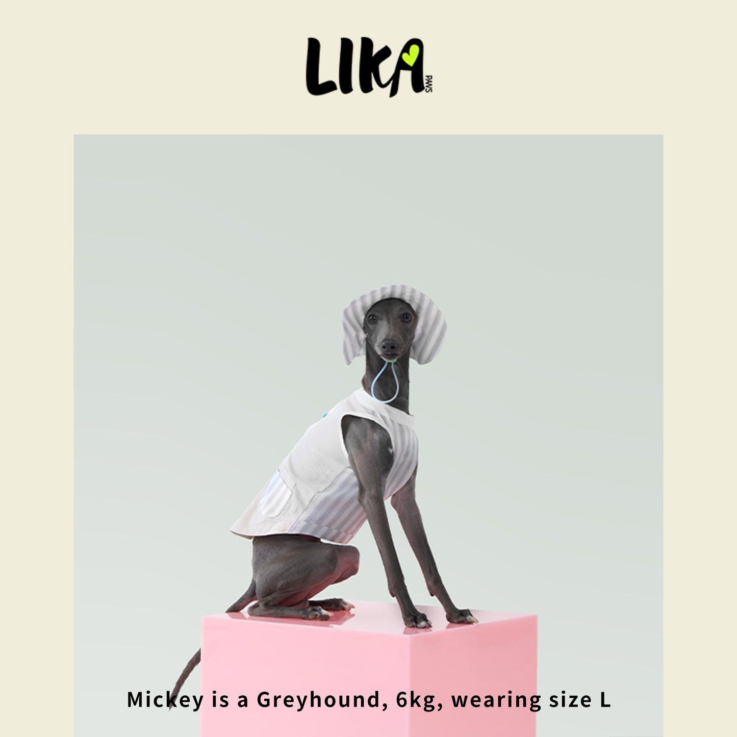 Summer Vacation Shirt & Hat - Twilight Gray - Shirt - LIKAPAWS