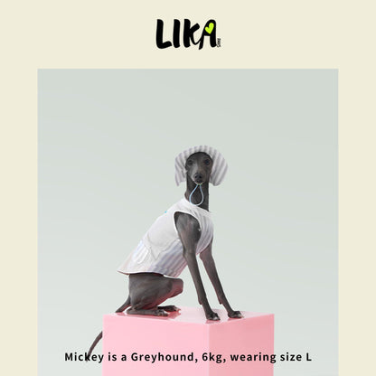 Summer Vacation Shirt & Hat - Twilight Gray - Shirt - LIKAPAWS