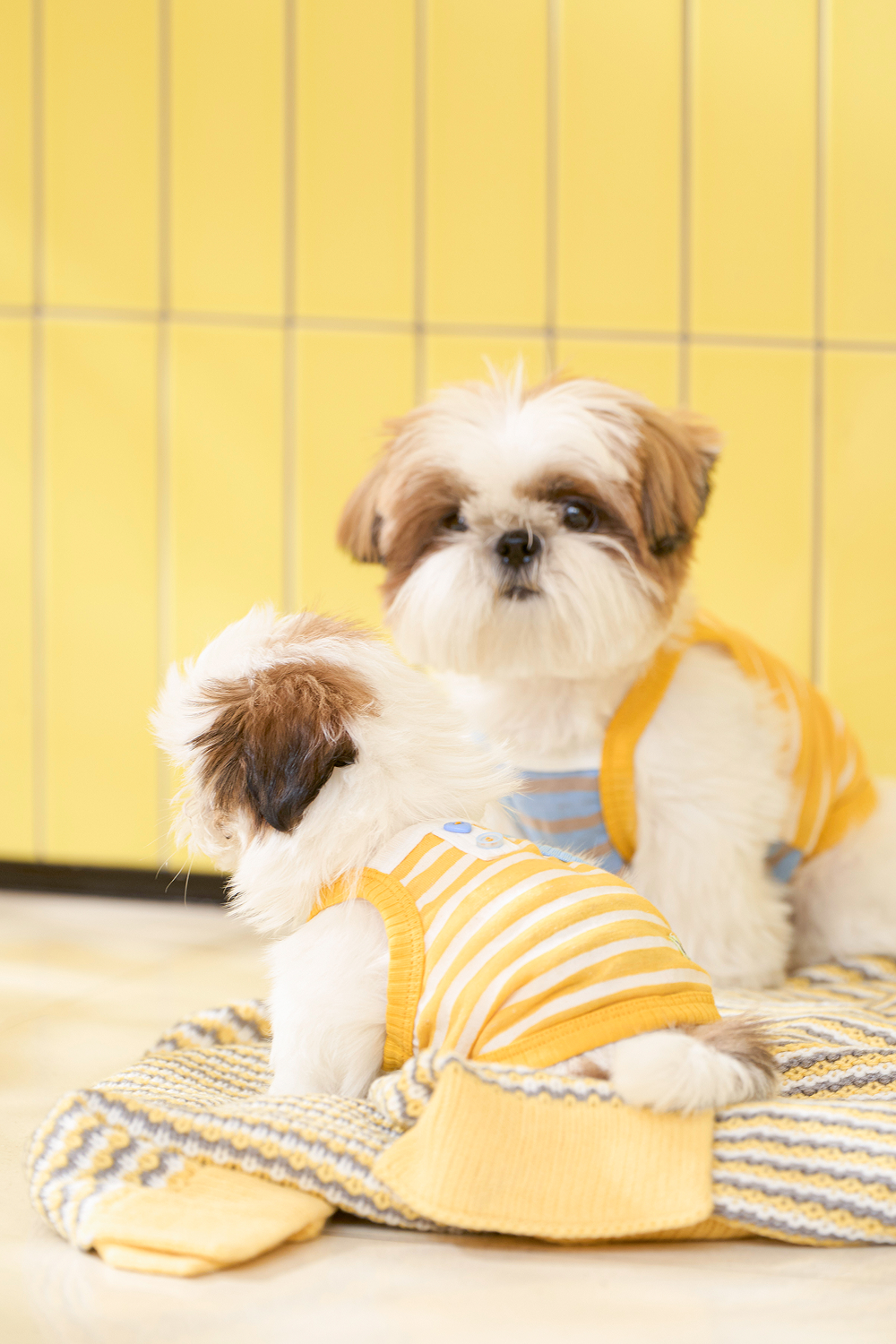Sunny Bakery Striped Camisole