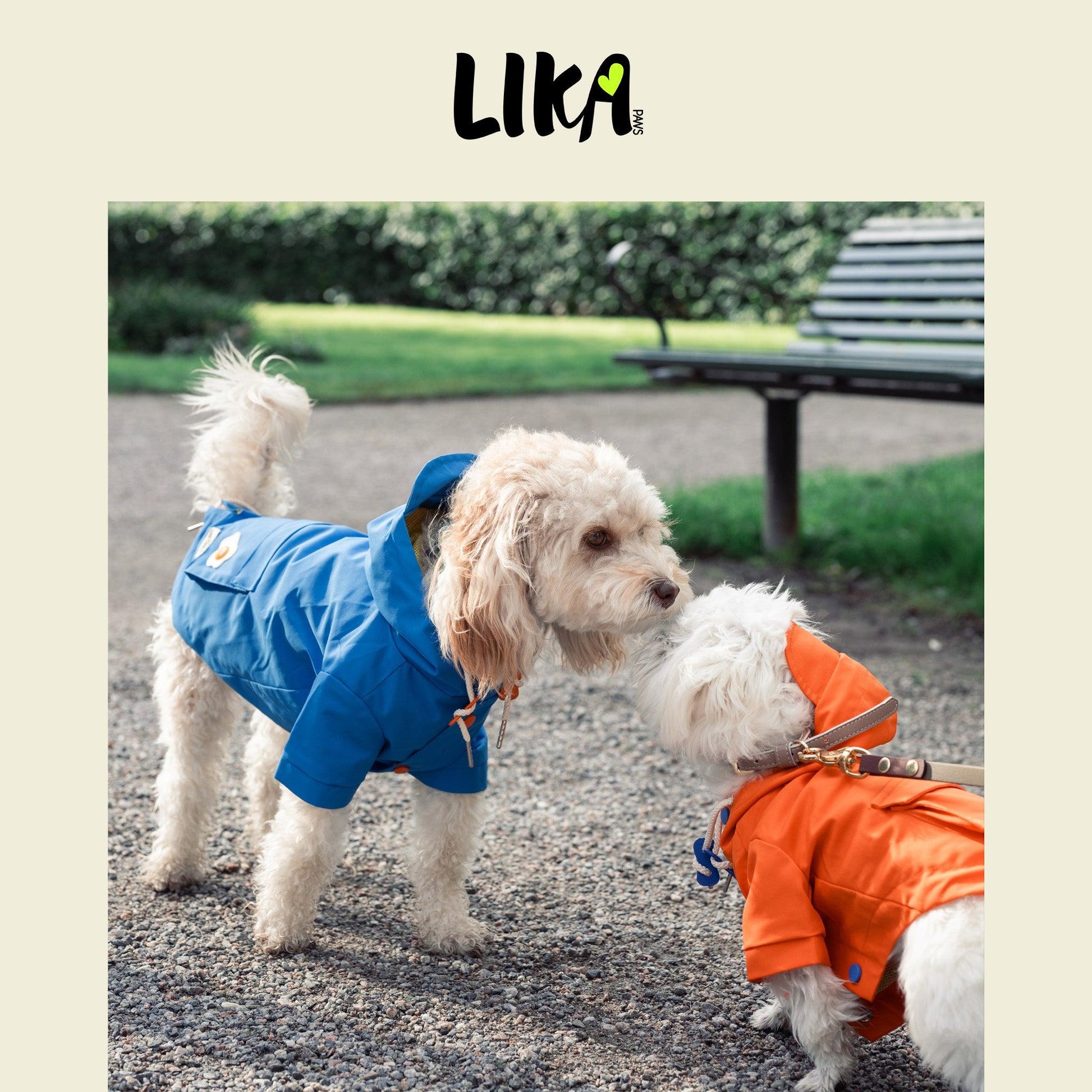 Water Proof All Day Function Coat - Azure Blue - Raincoat - LIKAPAWS