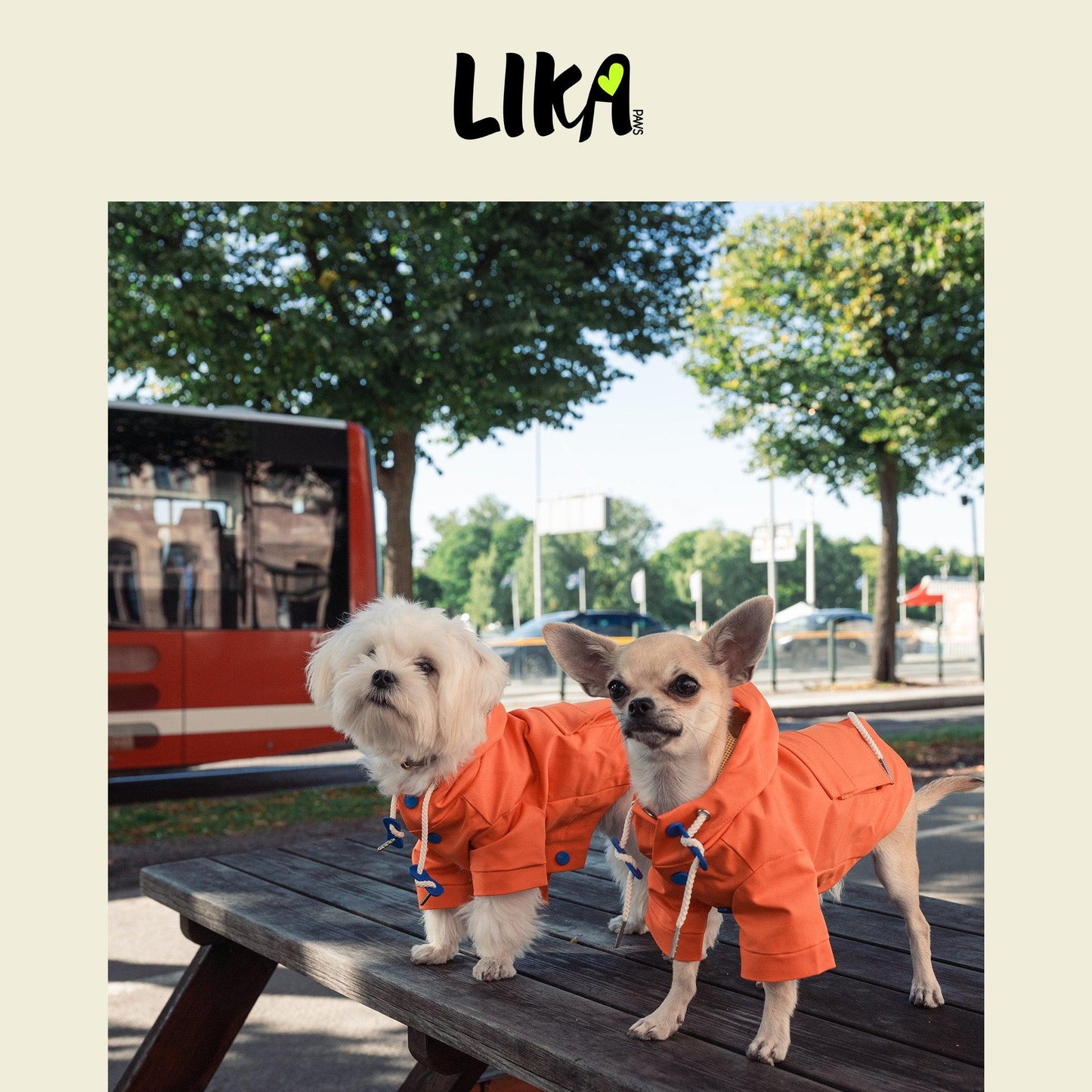 Water Proof All Day Function Coat - Marmalade - Raincoat - LIKAPAWS