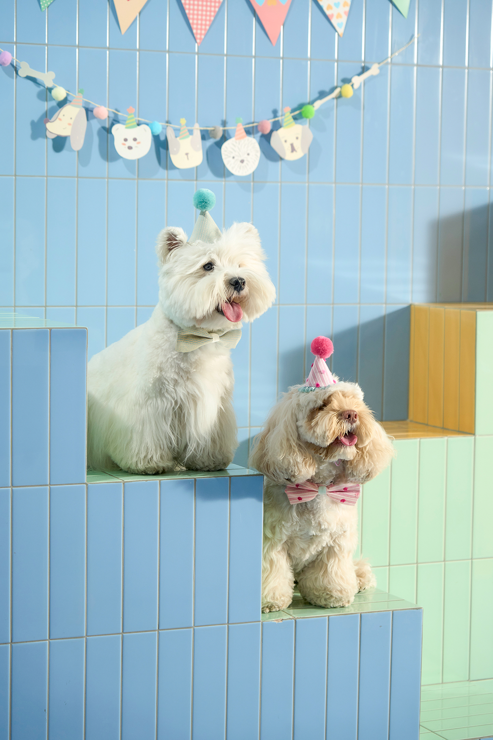 "Woohoo!" Party Celebration Set