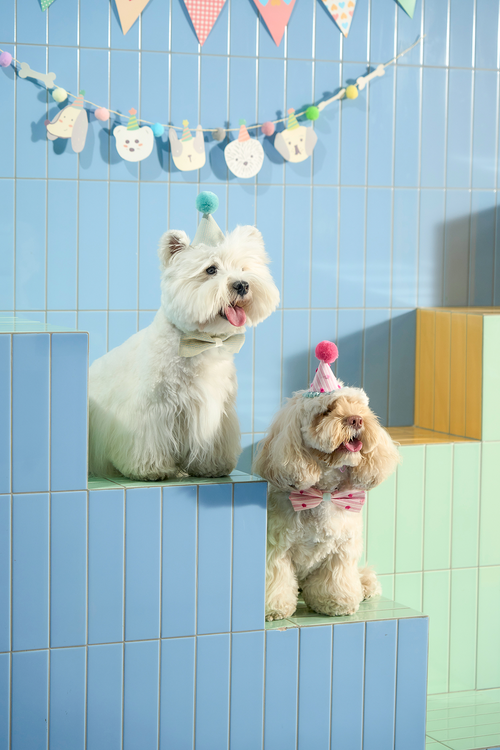 "Woohoo!" Party Celebration Set