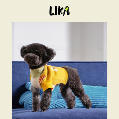 Wool Sweater in Yellow - 100%wool - Sweater - LIKAPAWS